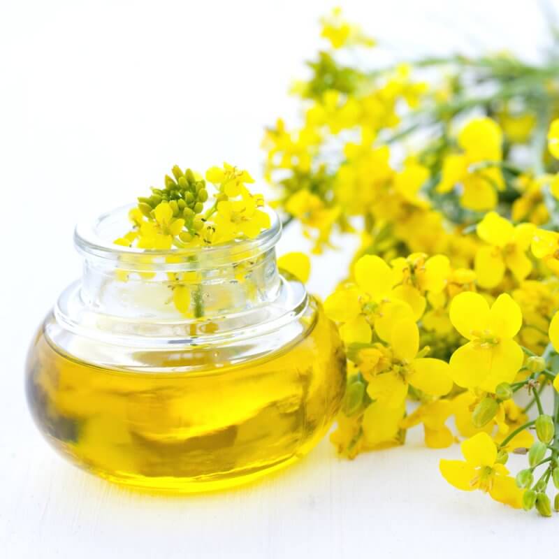 https://trade-agro.top/storage/2021/02/14824596.jpg