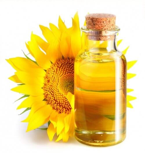 https://trade-agro.top/storage/2021/02/b2f104448e_500.jpg