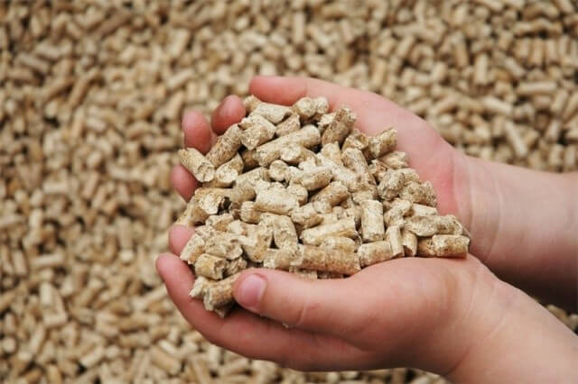 https://trade-agro.top/storage/2021/02/shrot.jpg