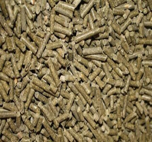 https://trade-agro.top/storage/2021/02/unnamed-2.jpg