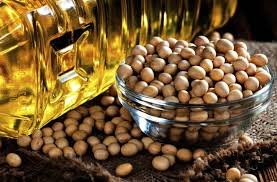 https://trade-agro.top/storage/2021/02/zavantazhennya.jpg